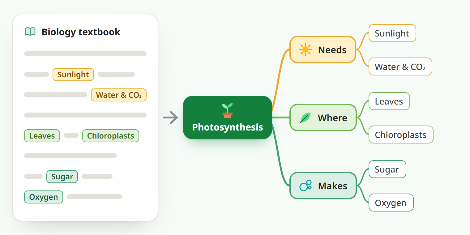 A biology textbook page with six keywords highlighted, sorted onto a mind map: Photosynthesis, with Needs (Sunlight, Water & CO₂), Where (Leaves, Chloroplasts) and Makes (Sugar, Oxygen)