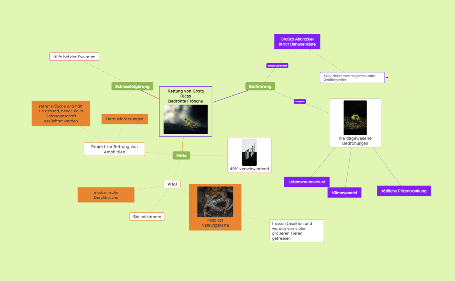 Rettung der bedrohten Arten in Costa Rica Concept Map