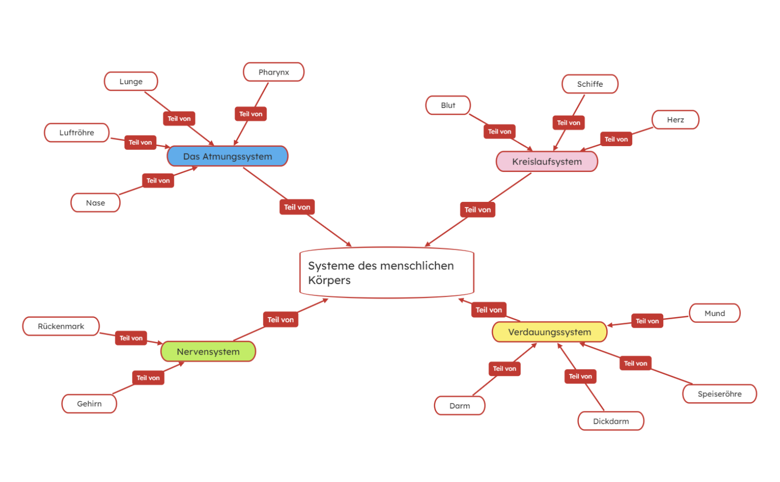 Menschliche Körpersysteme Concept Map