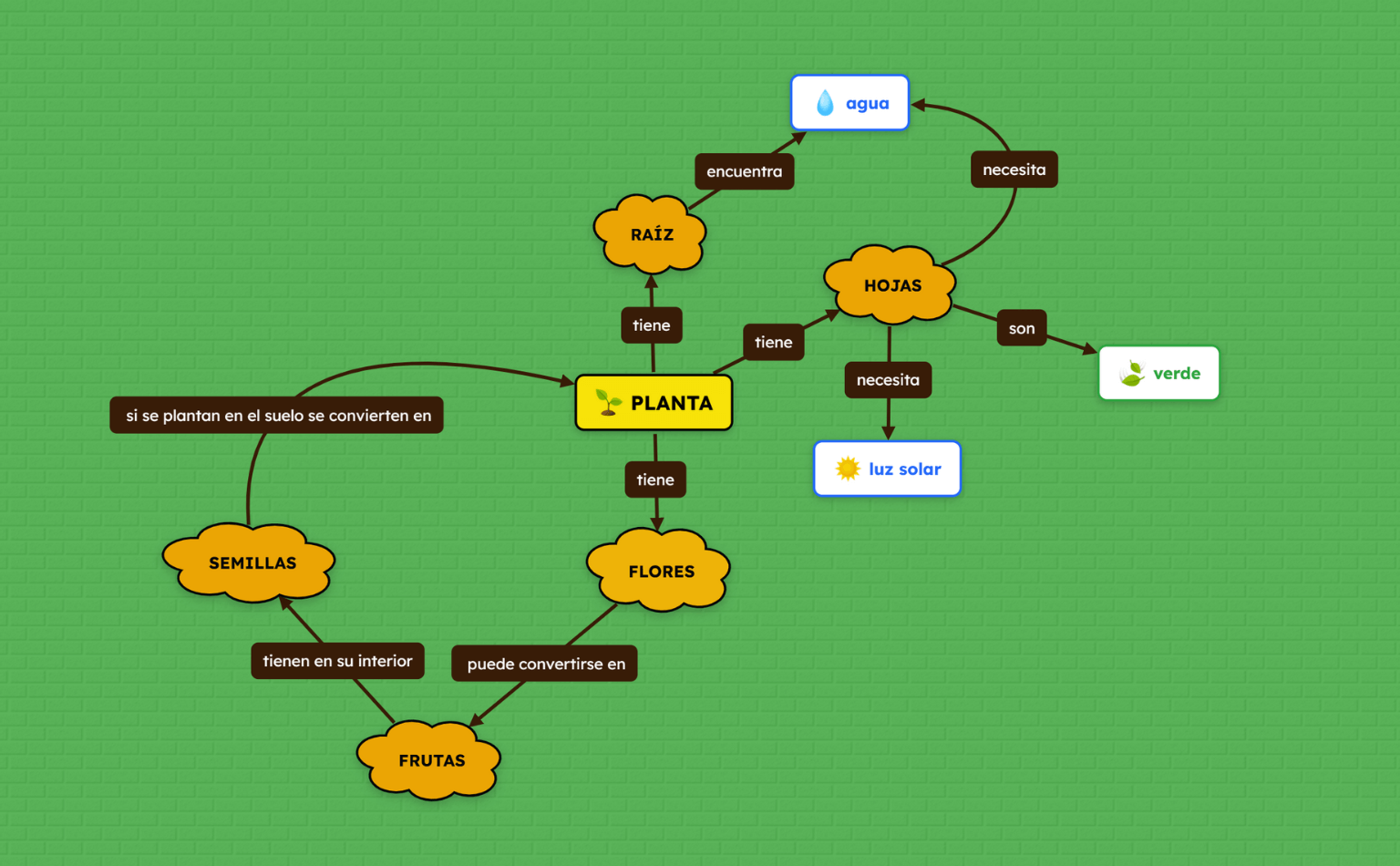 Plantilla de Mapa Conceptual de Plantas