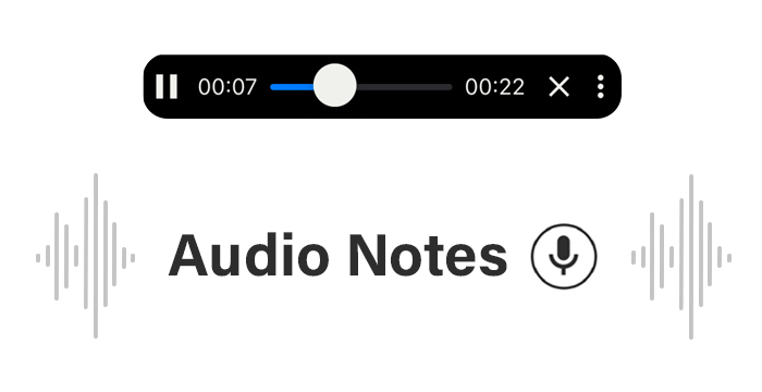 Audio notes or record notes