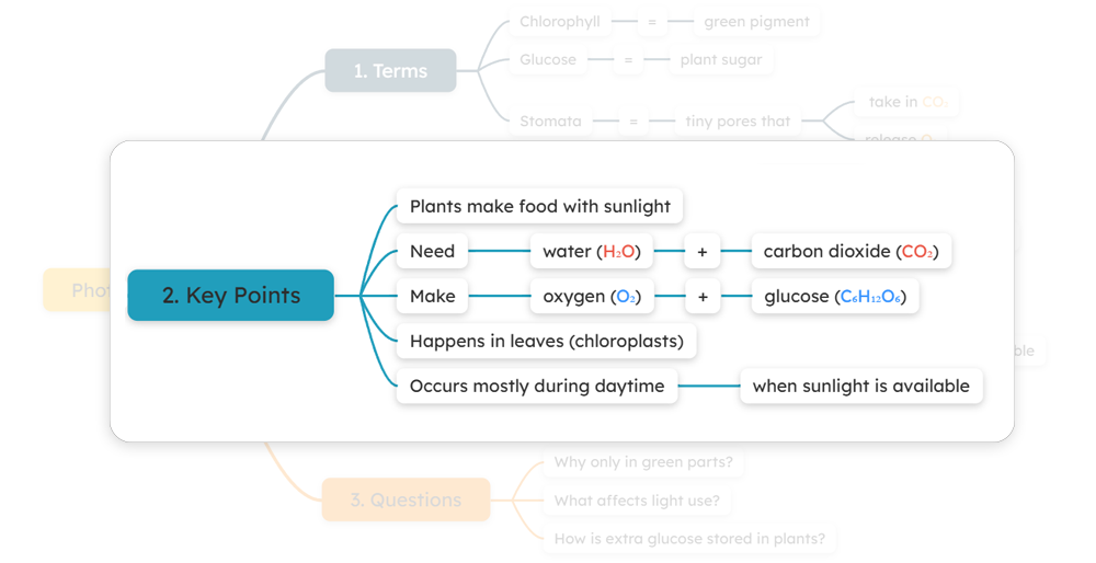 Focused view (drill down)