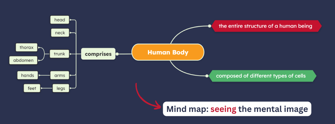 Mind map about human body - mental image