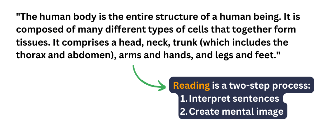 Plain text about human body - reading process