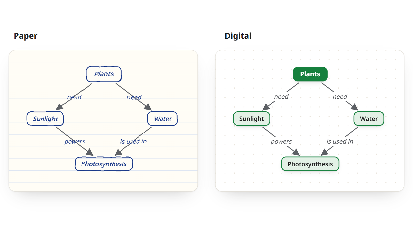 The same plants concept map twice: sketched with a pen on paper, and as a clean digital map
