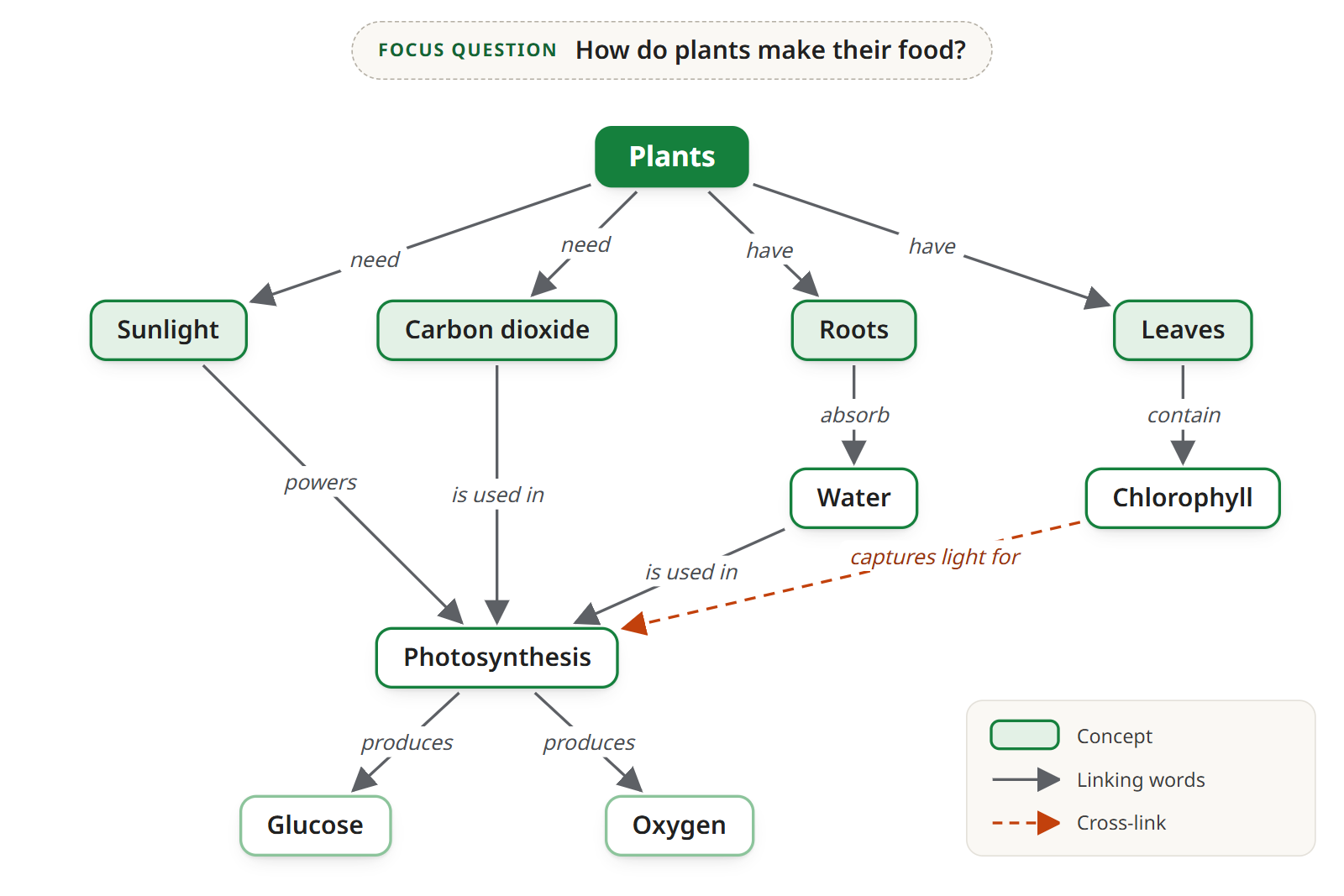 The finished concept map of how plants make their food: ten concepts, from Plants at the top to Glucose and Oxygen at the bottom, with Roots and Carbon dioxide added and the cross-link between Chlorophyll and Photosynthesis