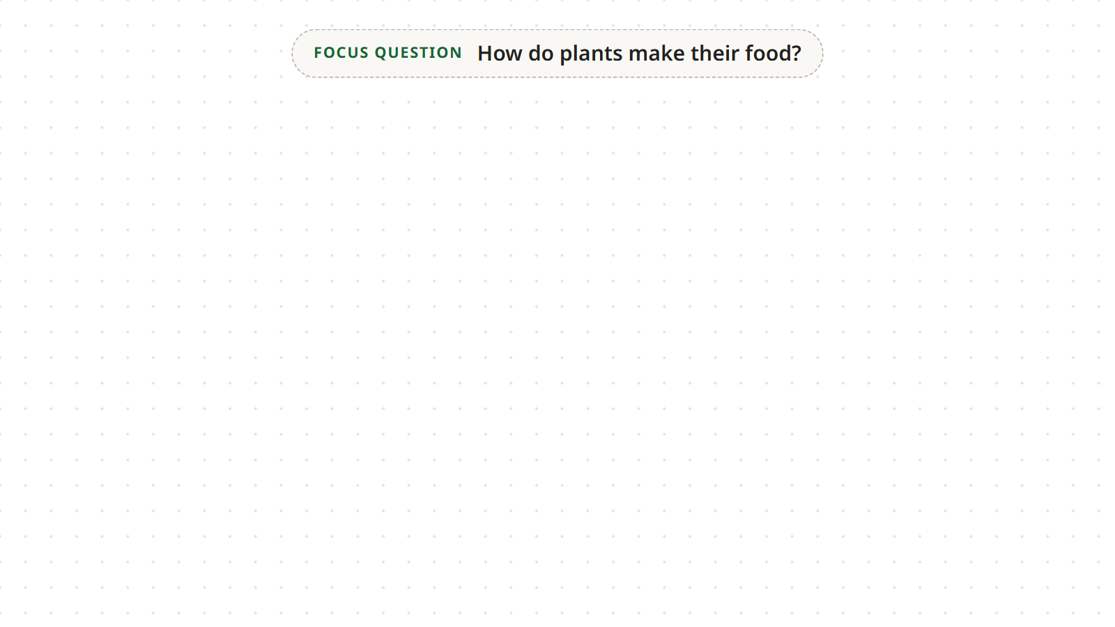 Step 1: a blank canvas with only the focus question “How do plants make their food?” at the top