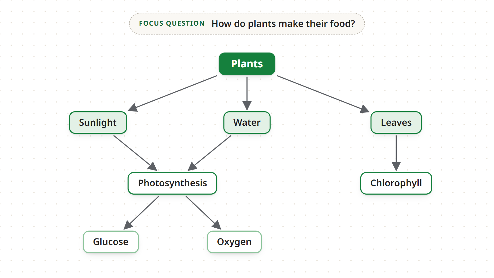 Step 4: the concepts of the plants map joined by unlabeled arrows, from Plants down to Sunlight, Water and Leaves and on to Glucose and Oxygen