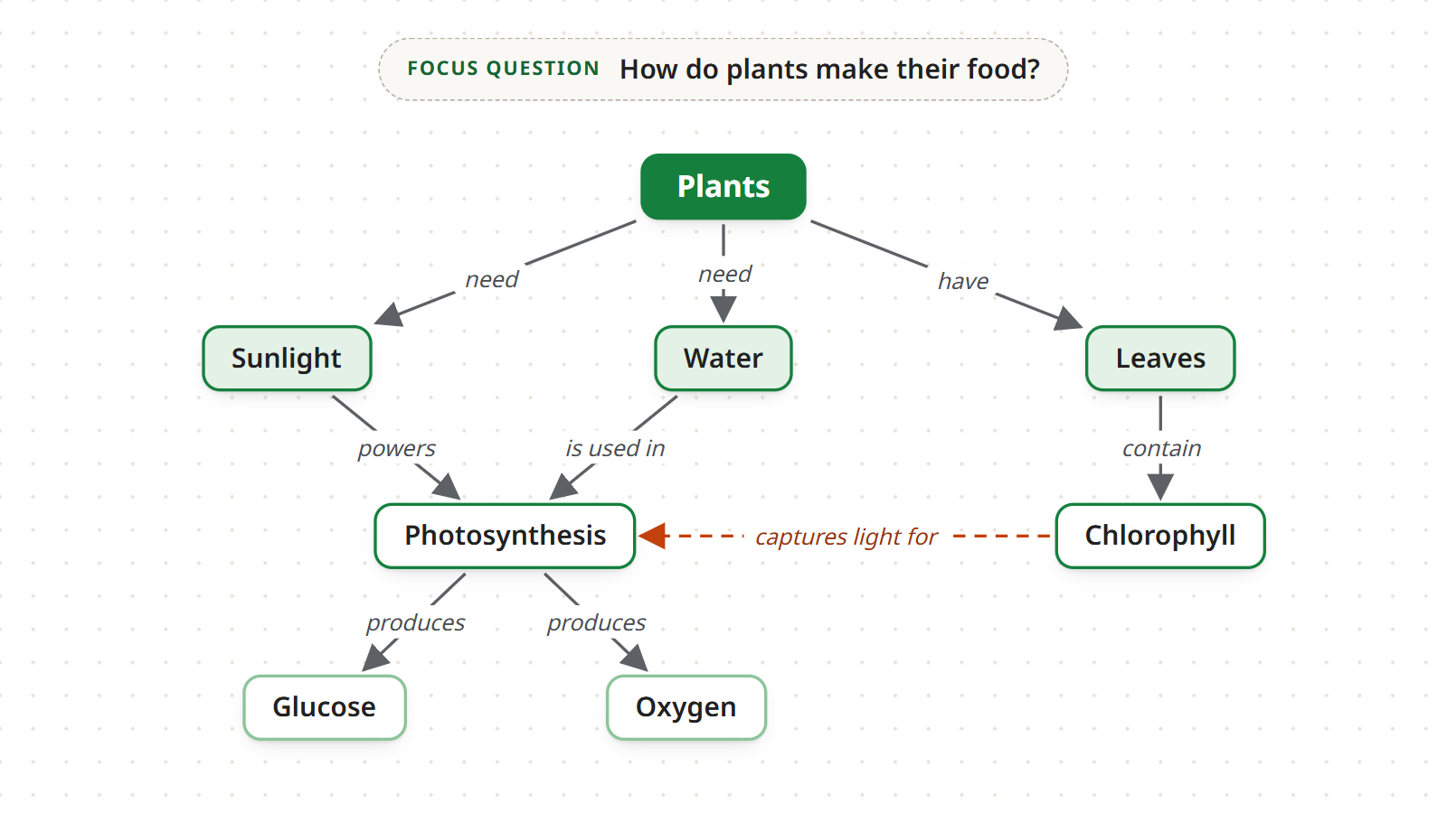 Step 6: the plants map with a dashed orange cross-link from Chlorophyll to Photosynthesis, labeled “captures light for”