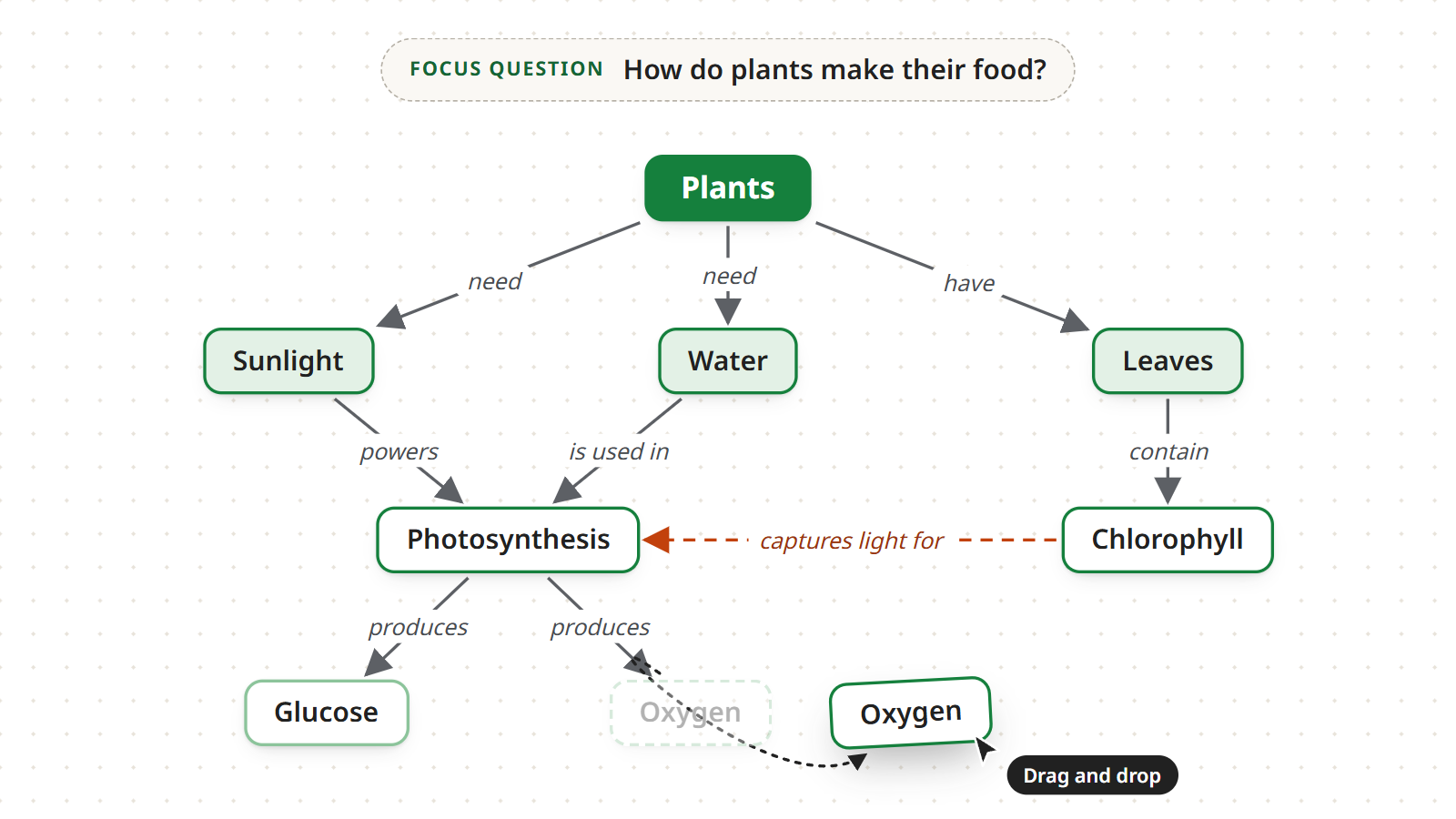 A concept of the plants map being dragged to a new spot on the canvas