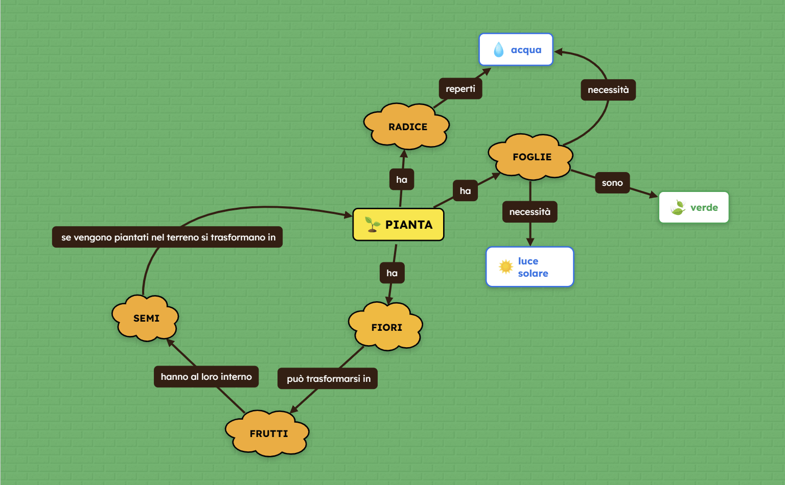 Mappa concettuale sulle piante