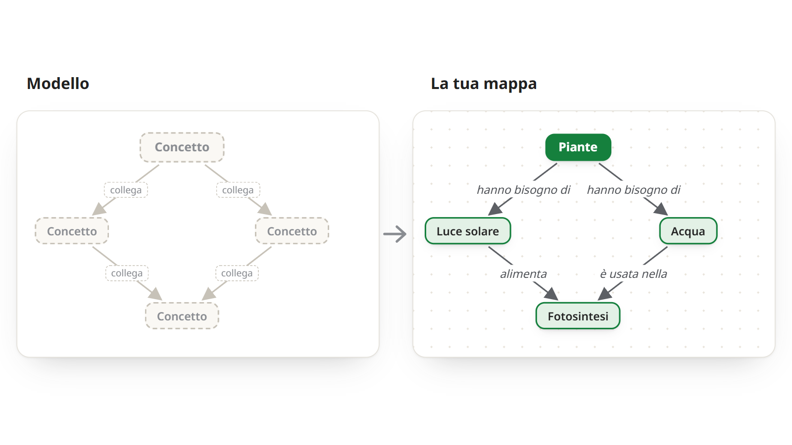 Un modello di mappa concettuale con riquadri vuoti “Concetto” uniti da frecce “collega”, accanto alla stessa struttura completata come mappa delle piante