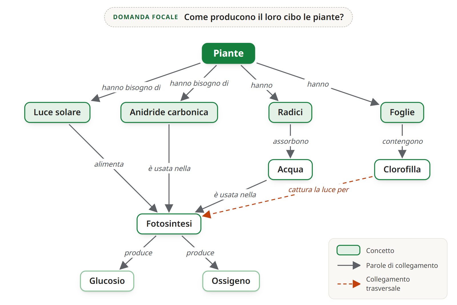 La mappa concettuale finita sulla fotosintesi delle piante: dieci concetti, da Piante in alto a Glucosio e Ossigeno in basso, con Radici e Anidride carbonica aggiunti e il collegamento trasversale tra Clorofilla e Fotosintesi
