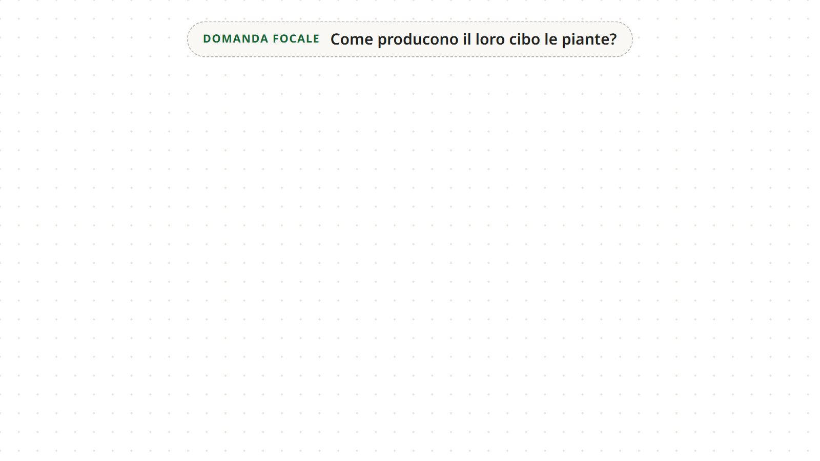 Passo 1: una tela vuota con la sola domanda focale “Come producono il loro cibo le piante?” in alto