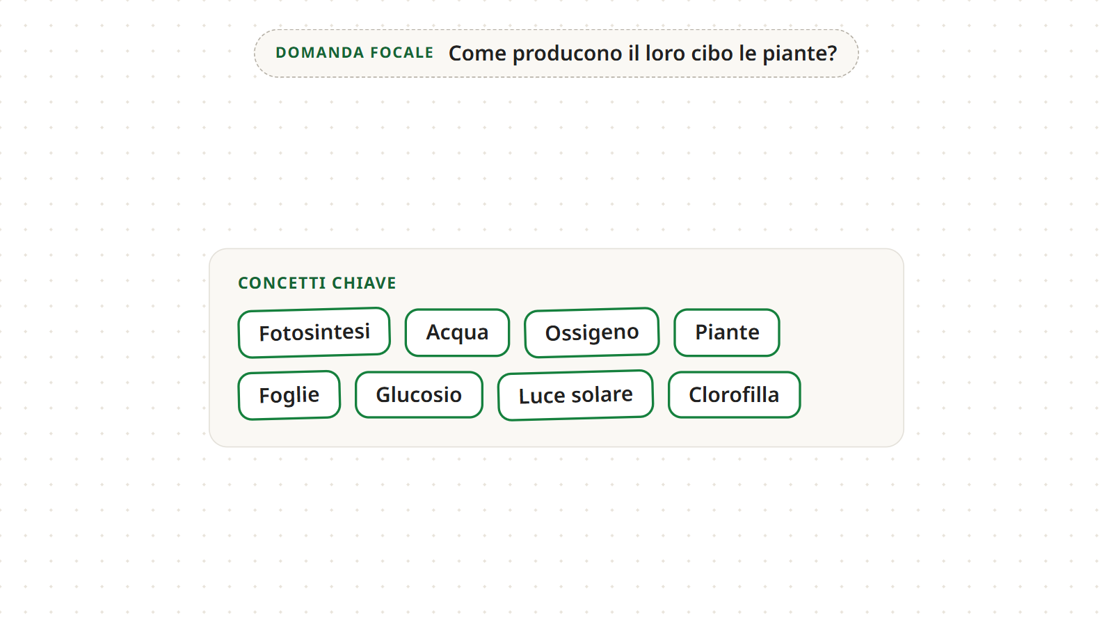 Passo 2: un riquadro “Concetti chiave” con otto concetti in ordine sparso: Piante, Luce solare, Acqua, Foglie, Fotosintesi, Clorofilla, Glucosio e Ossigeno