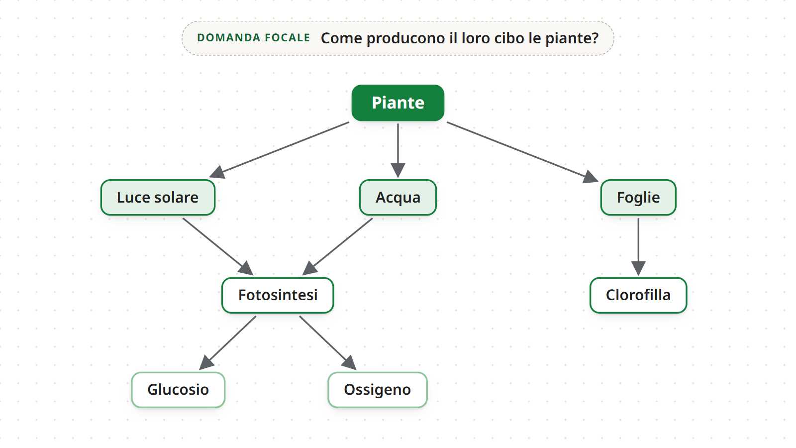 Passo 4: i concetti della mappa delle piante uniti da frecce senza etichette, da Piante verso Luce solare, Acqua e Foglie fino a Glucosio e Ossigeno