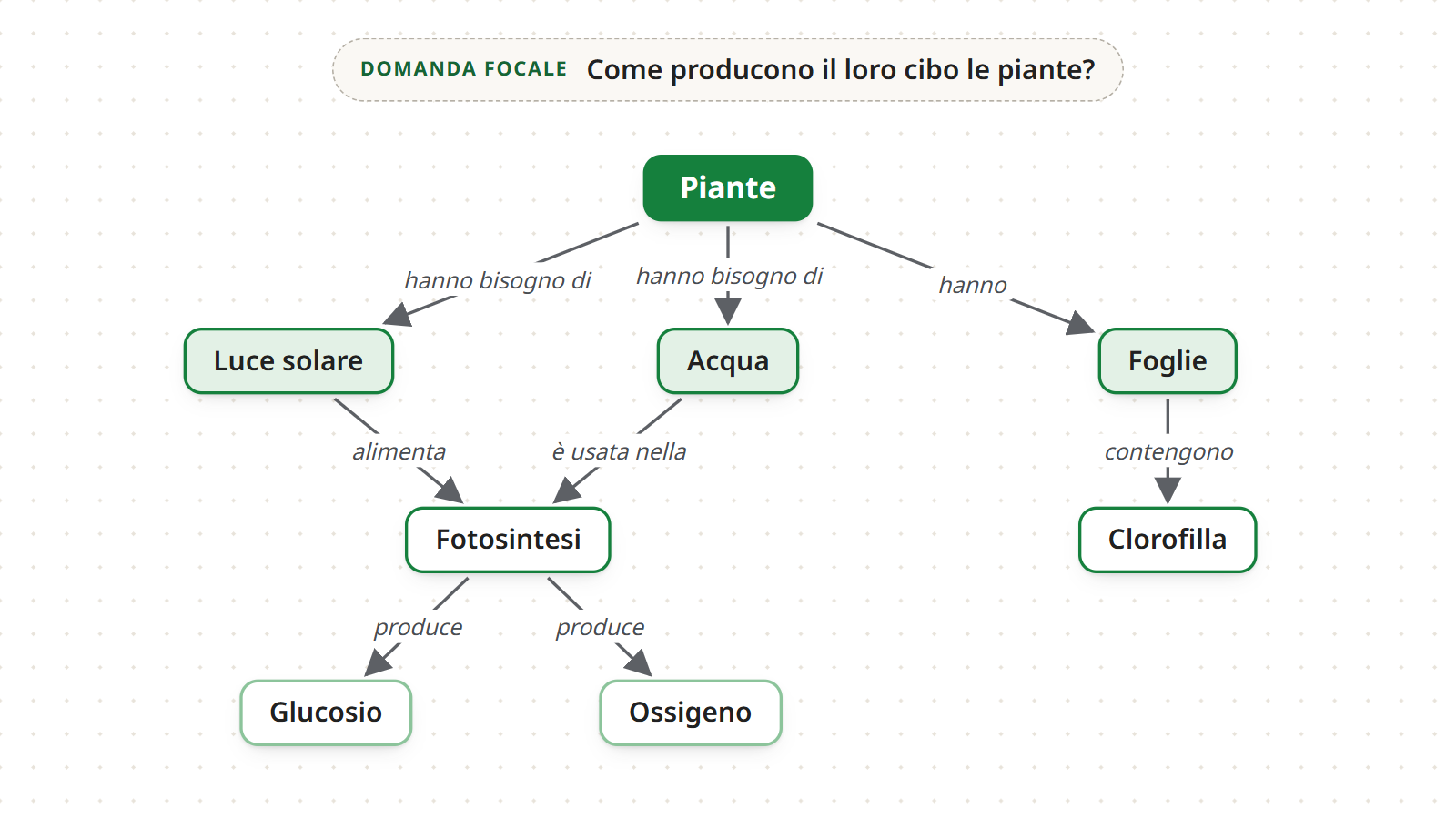 Passo 5: le frecce della mappa delle piante con le parole di collegamento “hanno bisogno di”, “hanno”, “alimenta”, “è usata nella”, “contengono” e “produce”