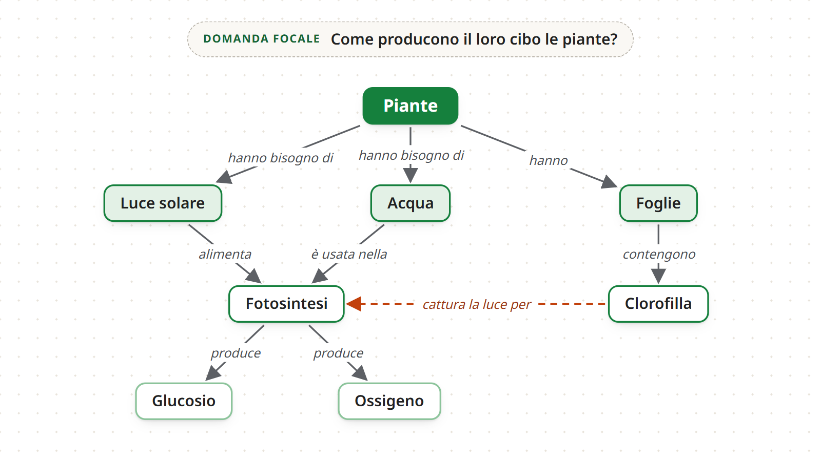 Passo 6: la mappa delle piante con un collegamento trasversale arancione tratteggiato da Clorofilla a Fotosintesi, etichettato “cattura la luce per”