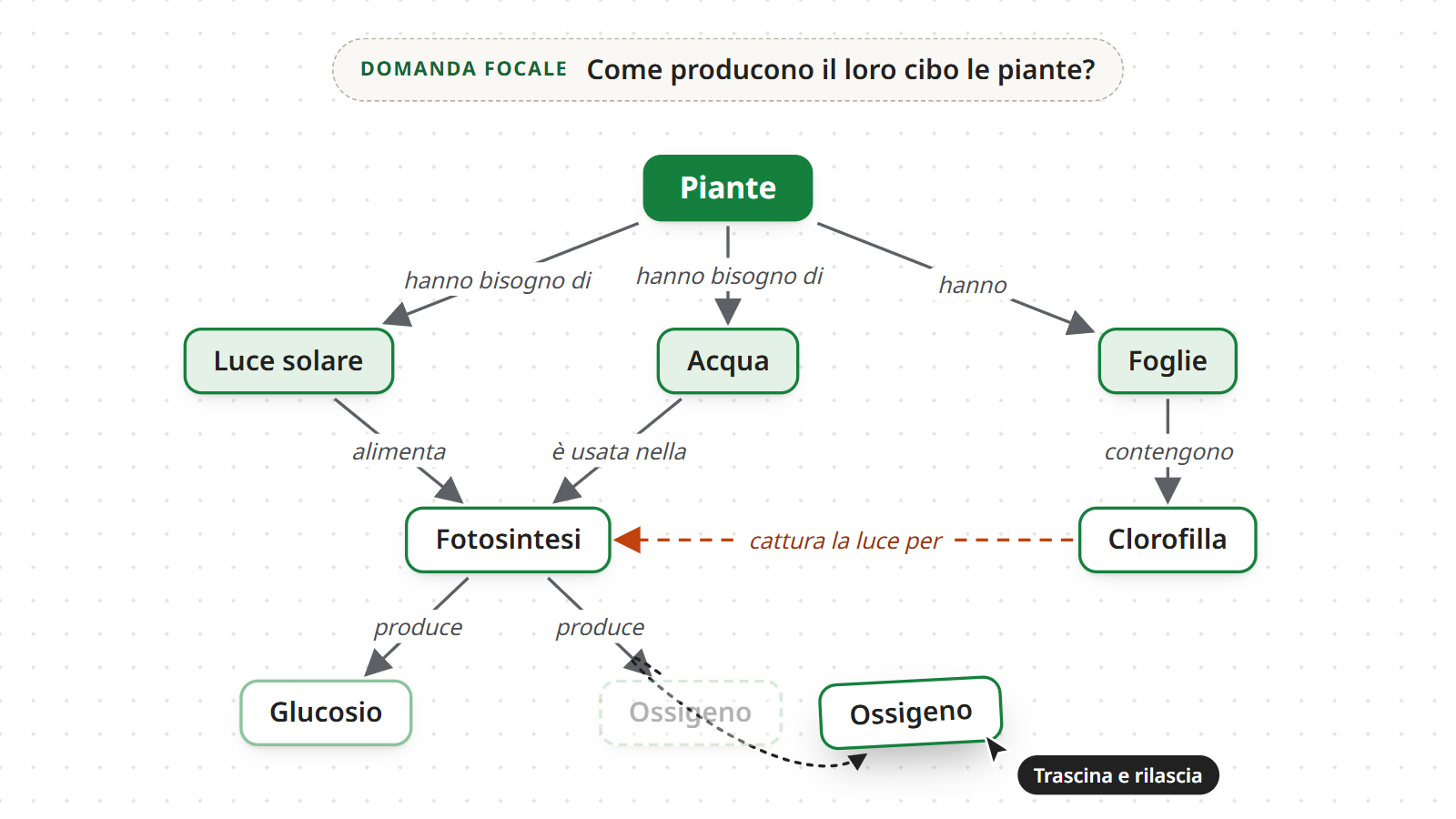 Un concetto della mappa delle piante trascinato in un nuovo punto della tela