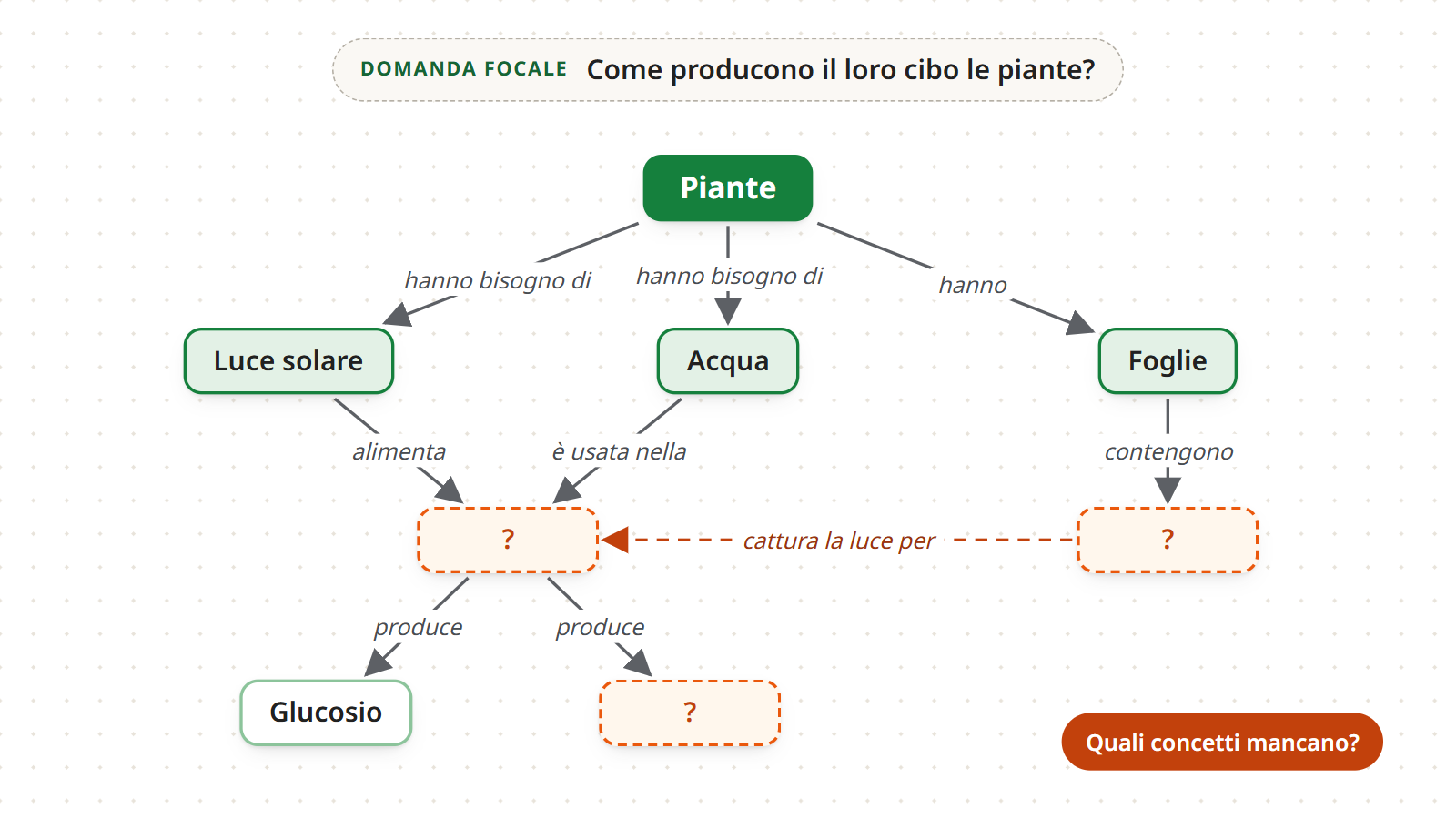 La mappa delle piante con alcuni concetti nascosti da un punto interrogativo e la domanda “Quali concetti mancano?”