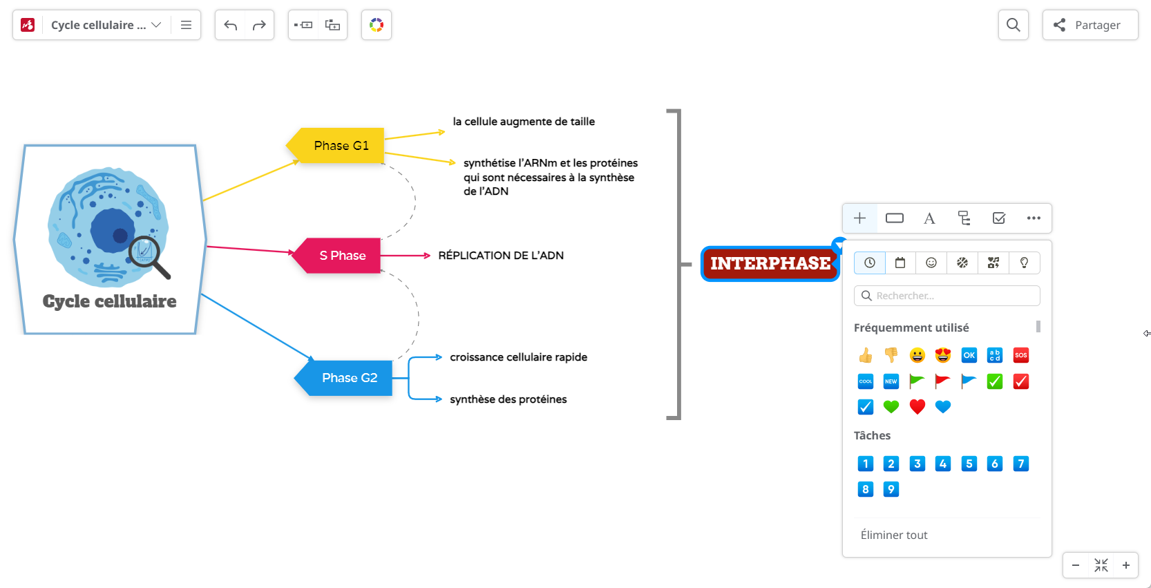 Modèle carte conceptuelle